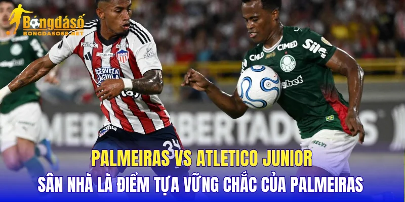 Palmeiras vs Atletico Junior sân nhà là điểm tựa vững chắc của Palmeiras 